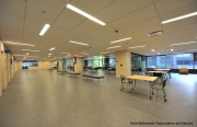 Colleges and Universities - McGill-pavillon Brofman - dsc-8374